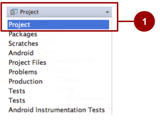 Selecting the Project view in Android Studio